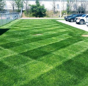 lawn mowing service in joplin