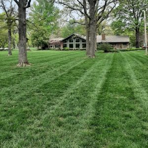 lawn care services